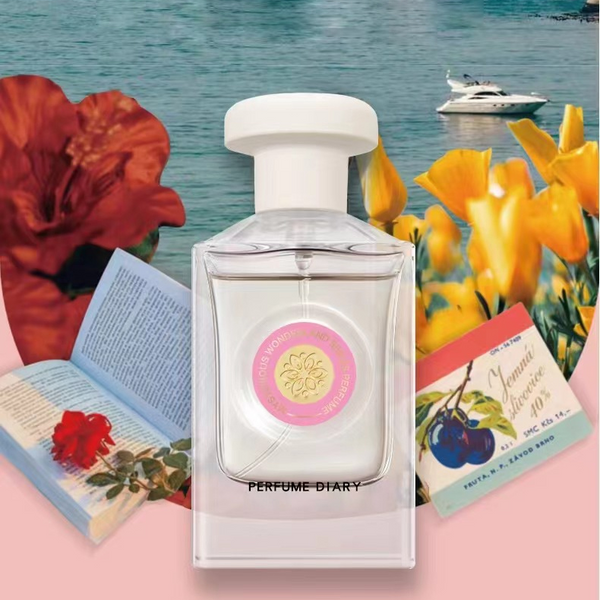 Midi 50ml Mystic Fantasy Perfume/Encounter Tenderness